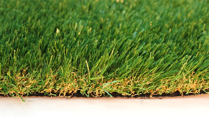 Saratoga 60 by AGL Grass North has a light green appearance and is soft to the touch.