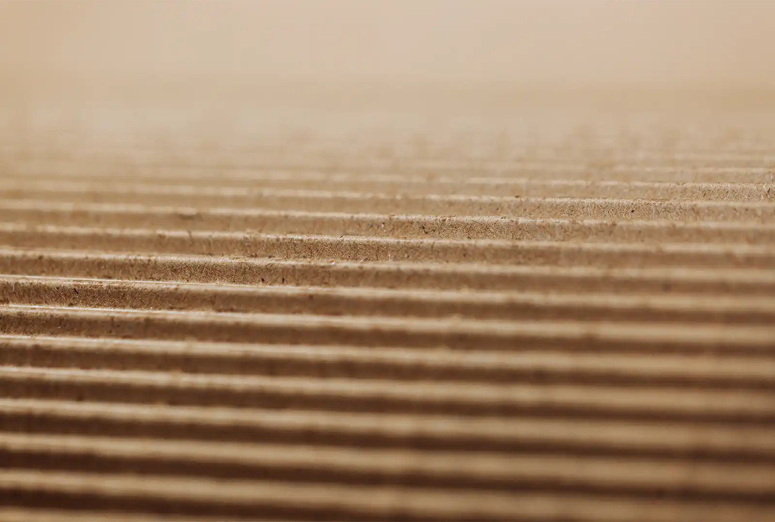 closeup image of corrugated cardboard