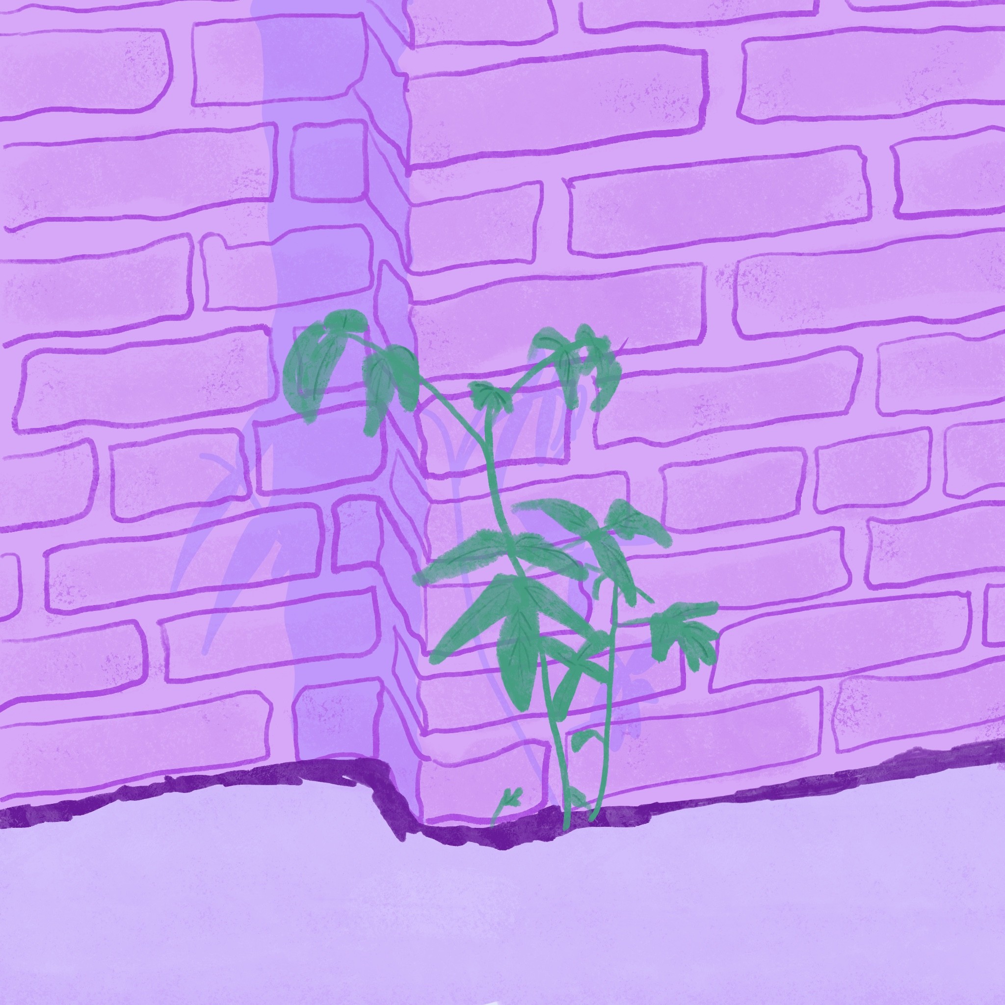 Plant In Building - My Dao Designer Portfolio