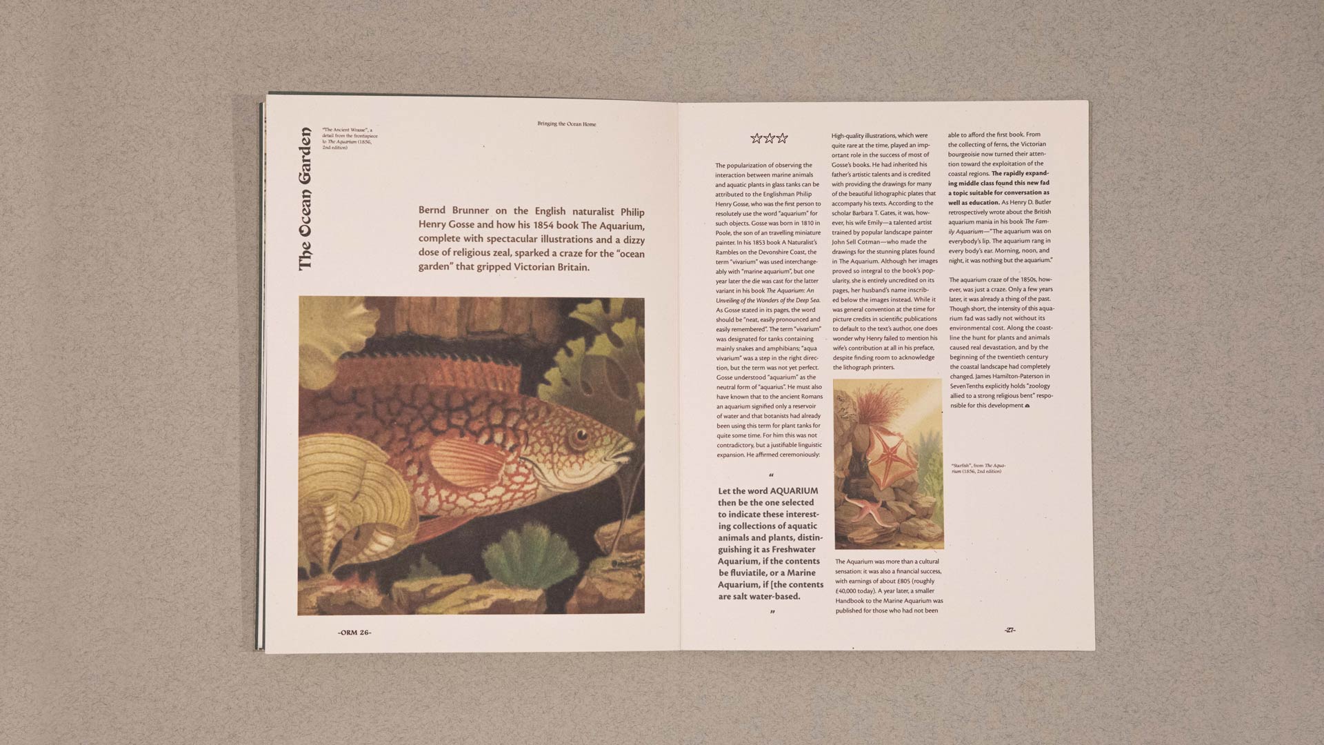 Ruolin Feng - magazine sample