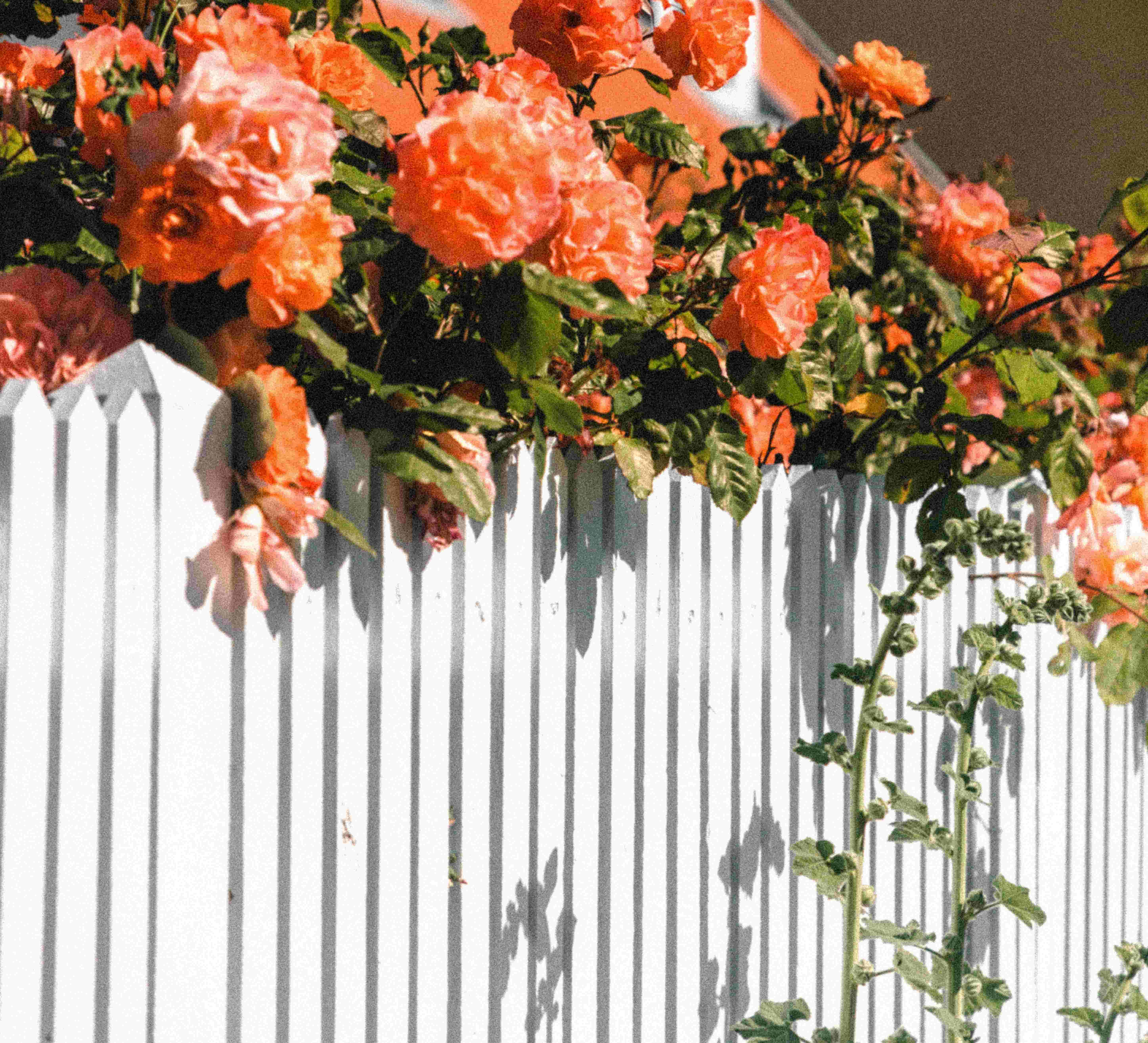 white-vinyl-fence-Louisiana