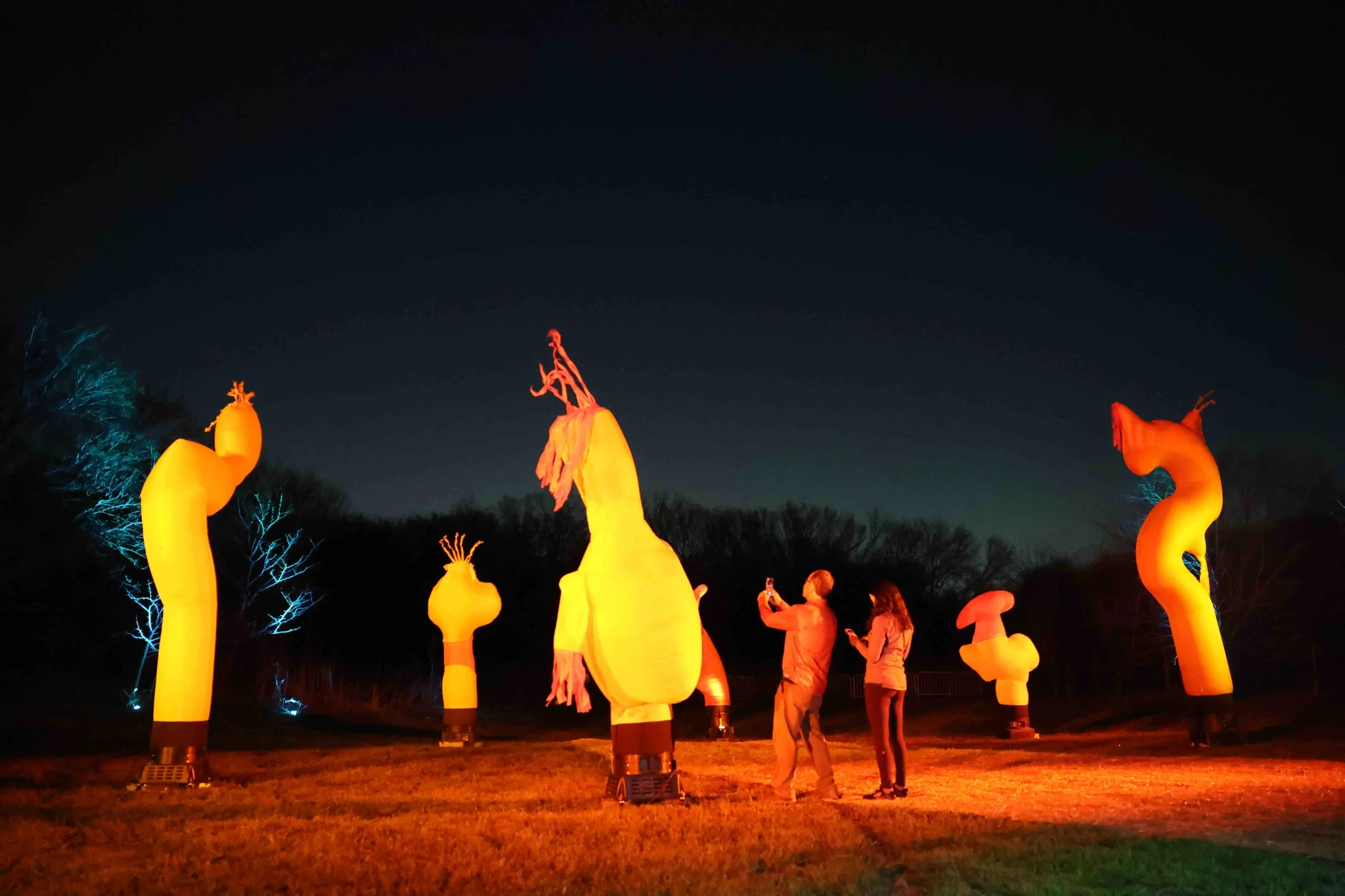 A group of people in brightly colored costumes performing against a dark, nighttime backdrop.