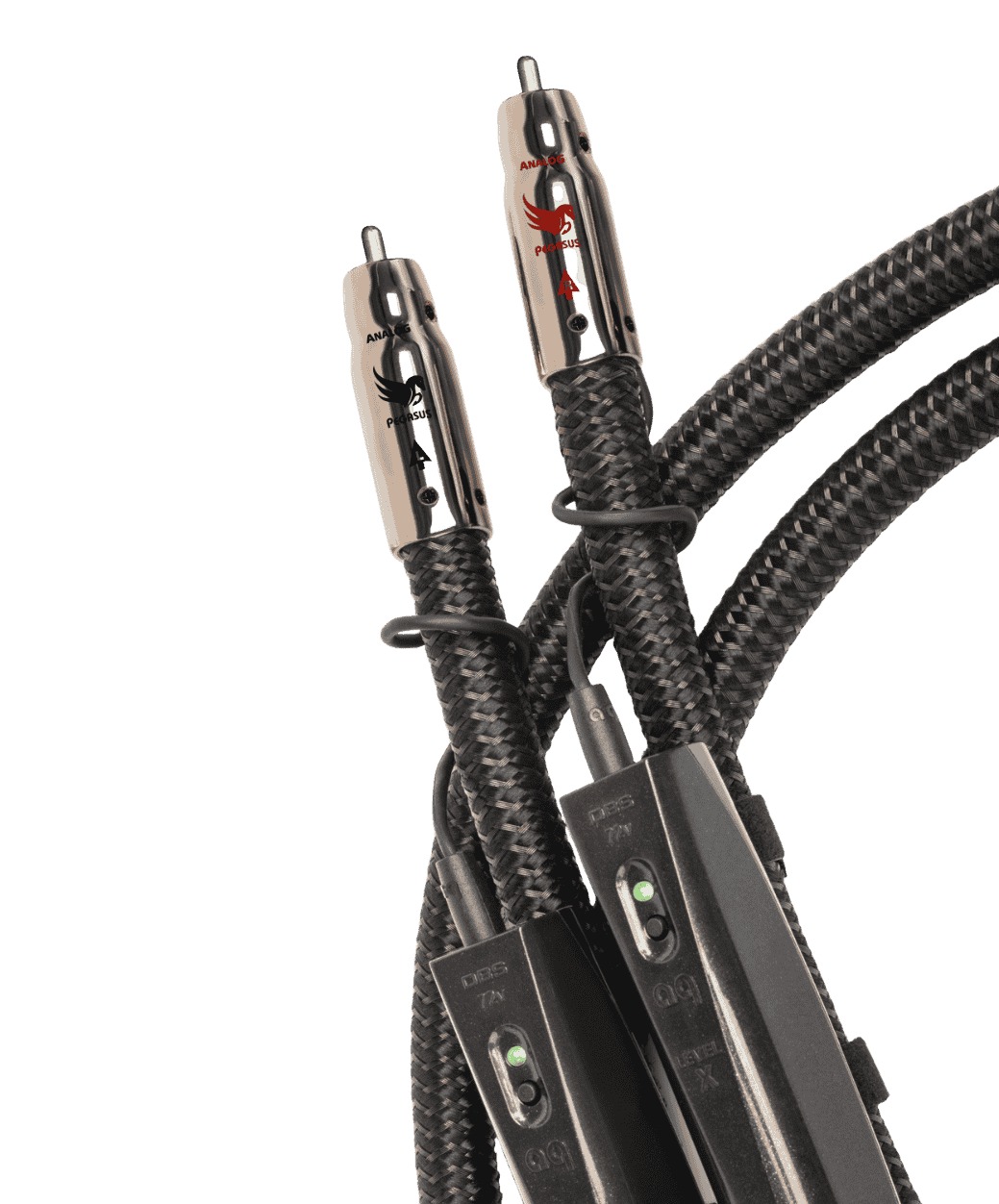 Audioquest RCA Pegasus - 2 - LE STUDIO HIFI