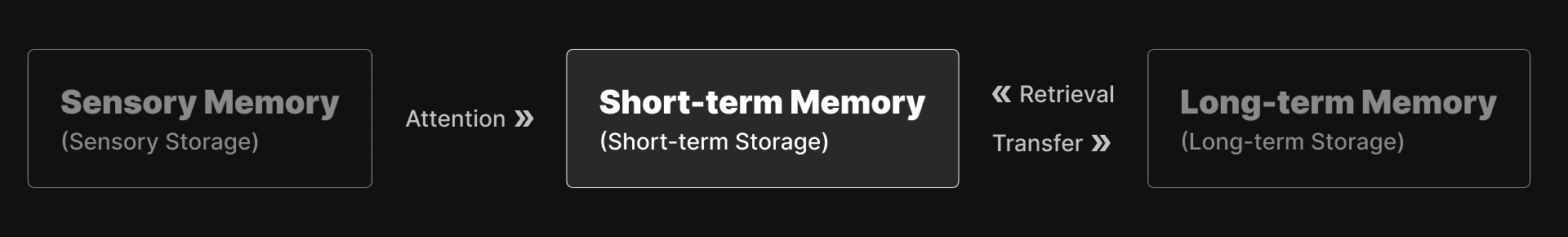 Short-term Memory in Multistore Model