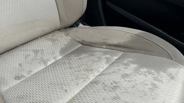 Metro Auto Spa spot rescue coffee stain seats before Toronto