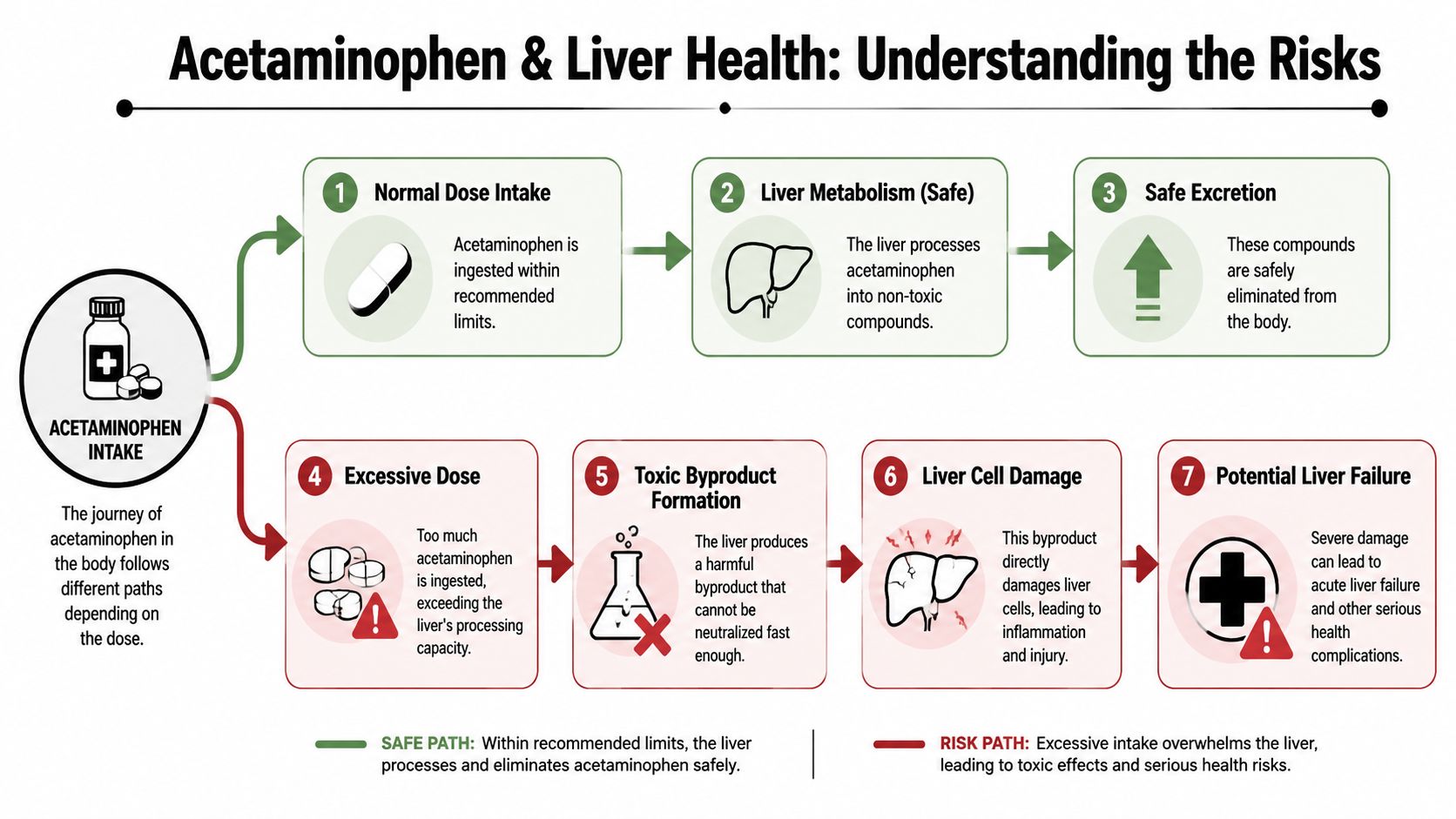 An infographic showing how normal doses of acetaminophen are safely metabolized while excessive doses cause liver failure.