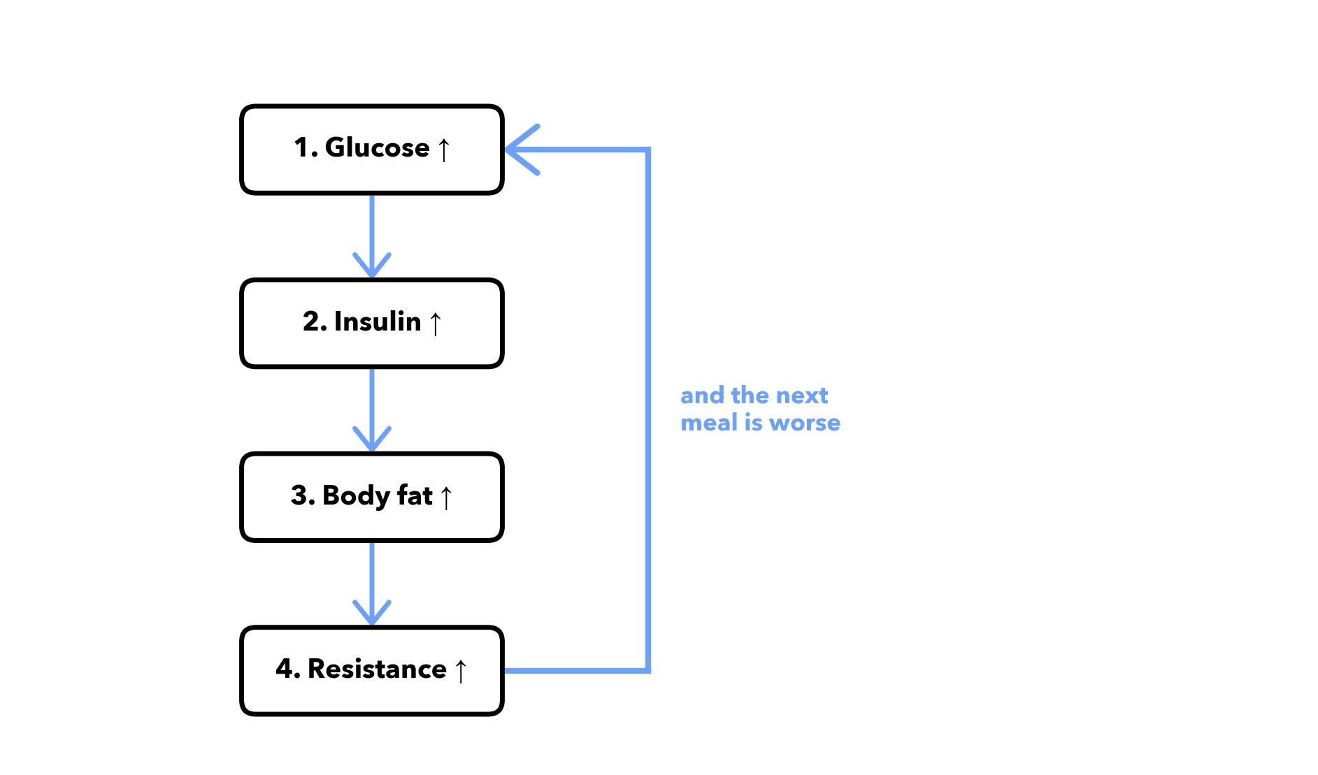 The HbA1c feedback spiral. Glucose rises, insulin rises in response, body fat increases, insulin resistance worsens — and the next meal hits a more resistant system. Each turn of the loop deepens the cycle. The chronic-low-grade pattern that drives long-term HbA1c drift.