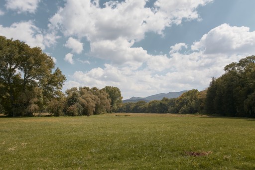 Campo verde en los terrenos de Cobertizo residencia artística, Jilotepec, México