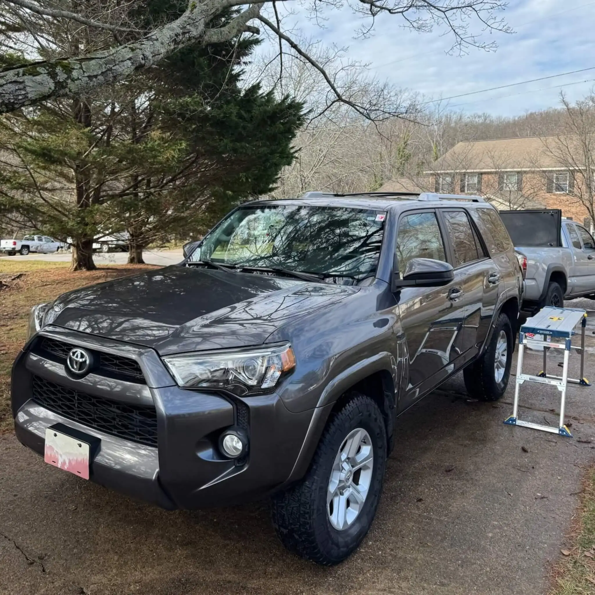 Exterior Detail with Paint Protectant