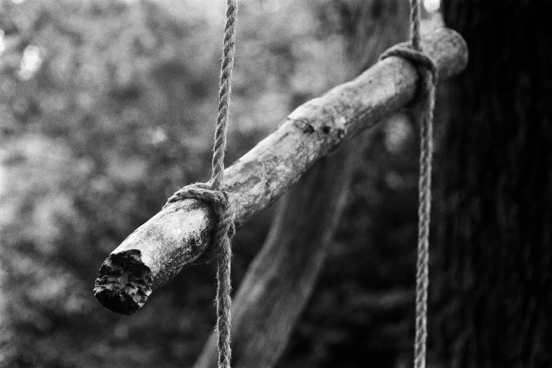 Weathered wooden rung with frayed rope attachment for tree house ladder