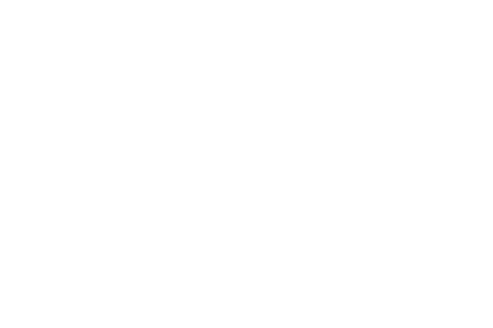 herenta attributes