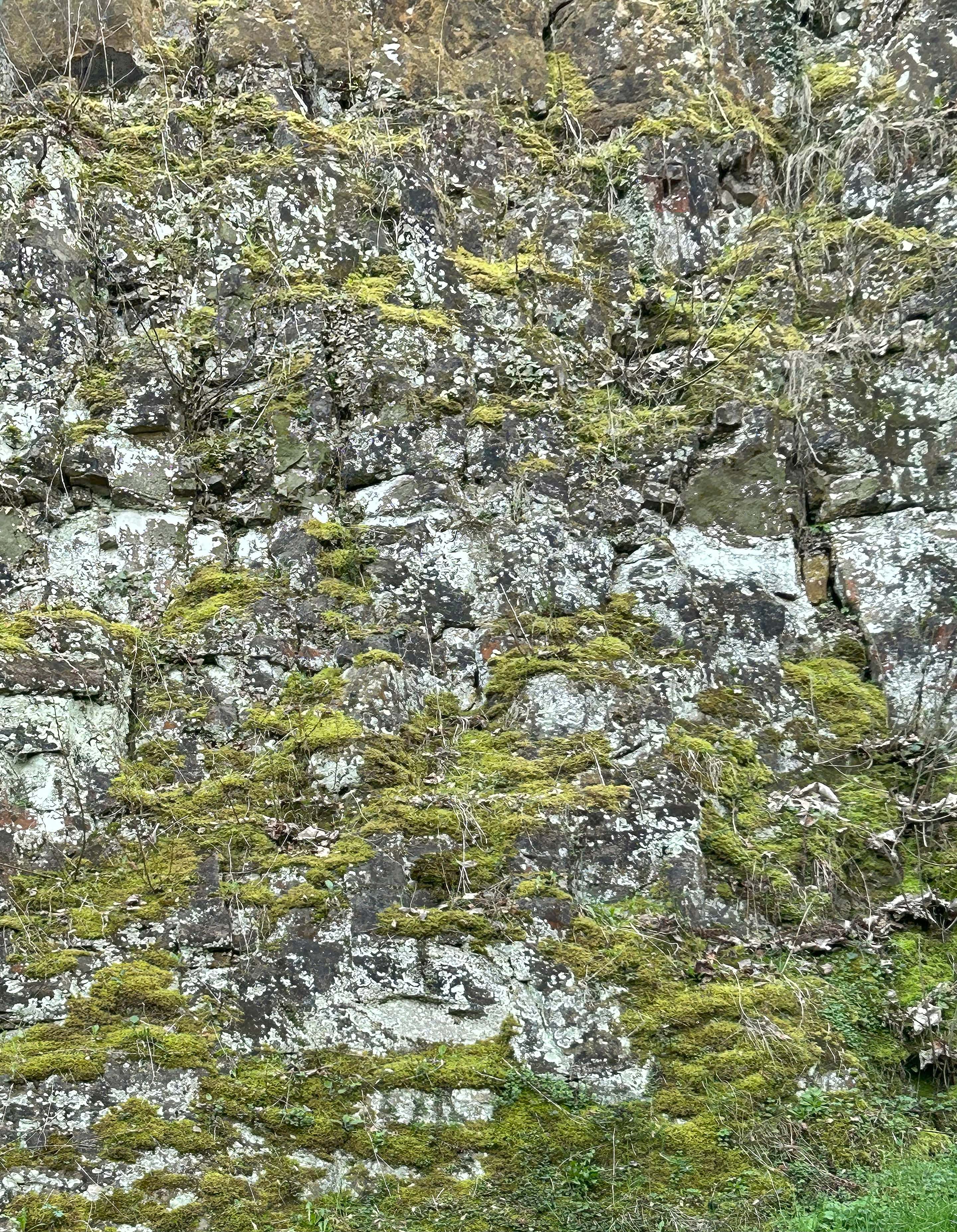 Close-up photograph of a stone wall covered in green moss and lichen. The layered textures and subtle color variations highlight the slow transformation of natural surfaces over time.
