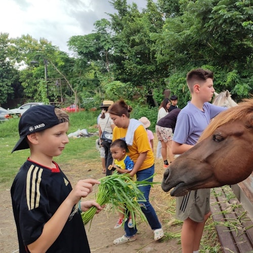 丹嫩莎朵水上市场的自行车之旅色彩