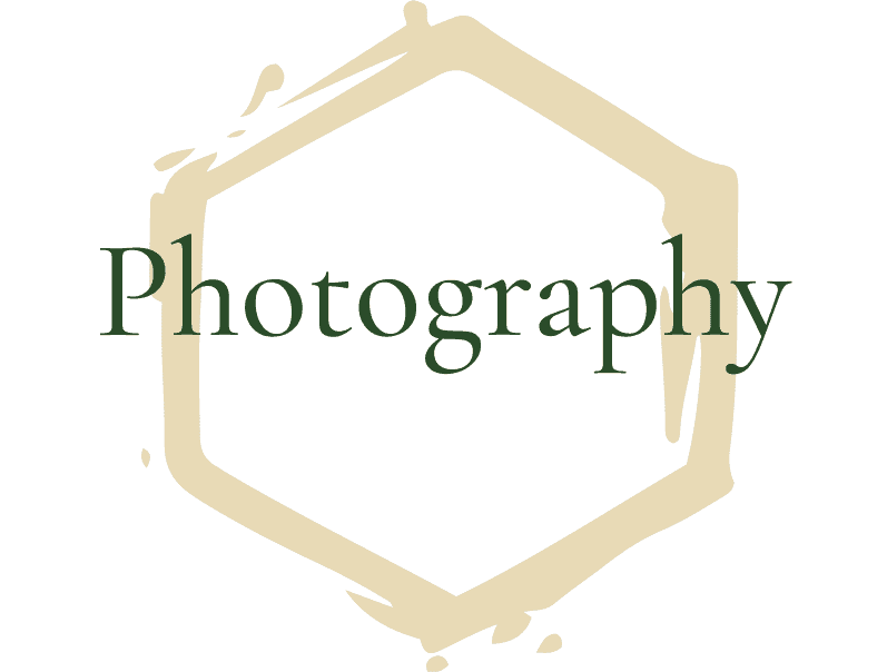 honeycomb-like hexagon illustration with the text Photography