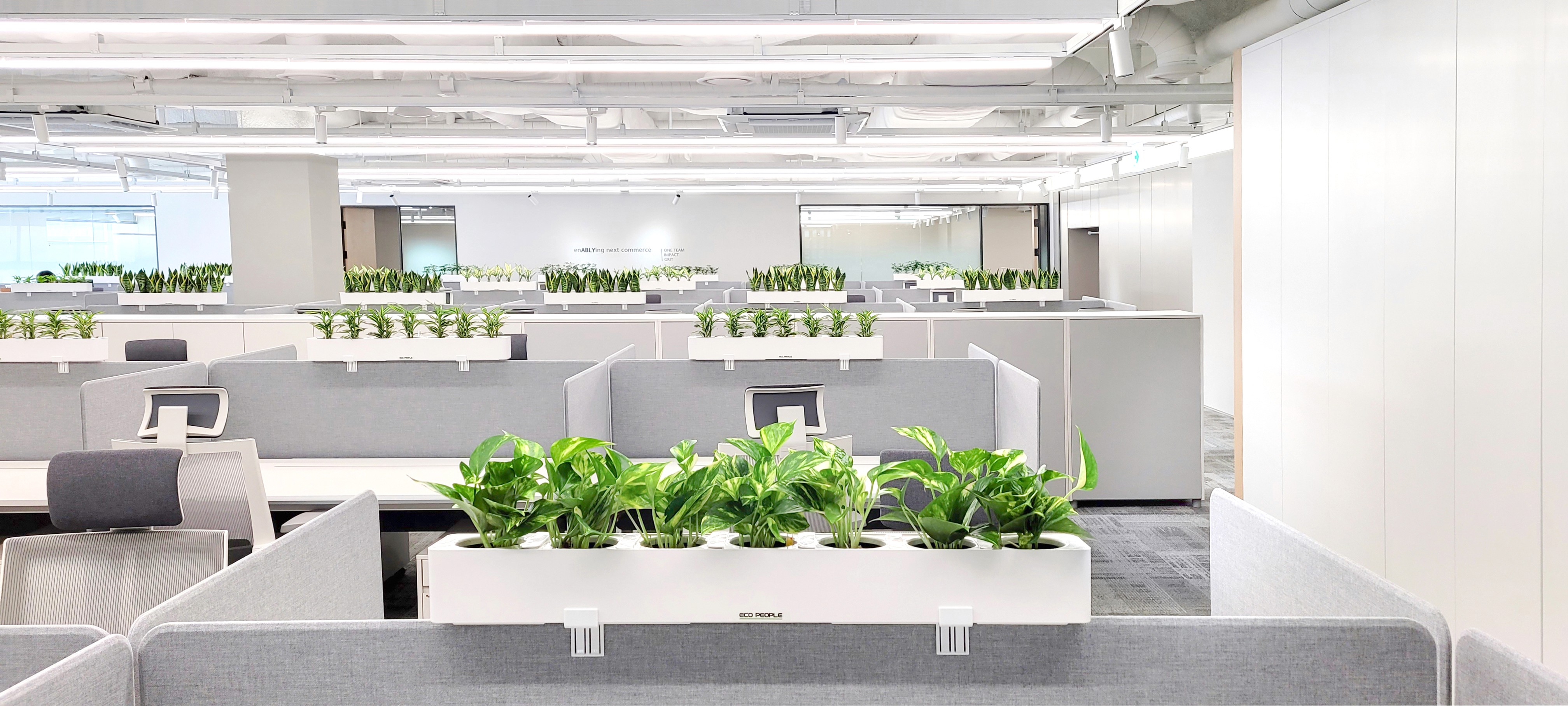플랫폼 회사 사무실에 설치된 파티션화분 에코팟