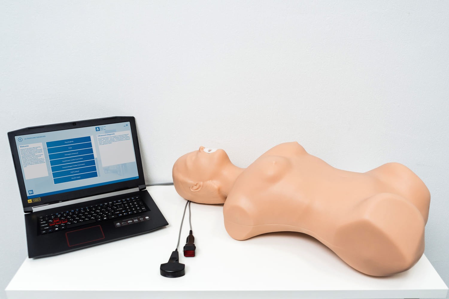 SonoVision ultrasound simulator designed for training