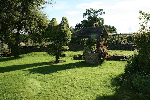 Lush green garden landscape with manicured lawn, ornamental trees and shrubs in peaceful countryside setting