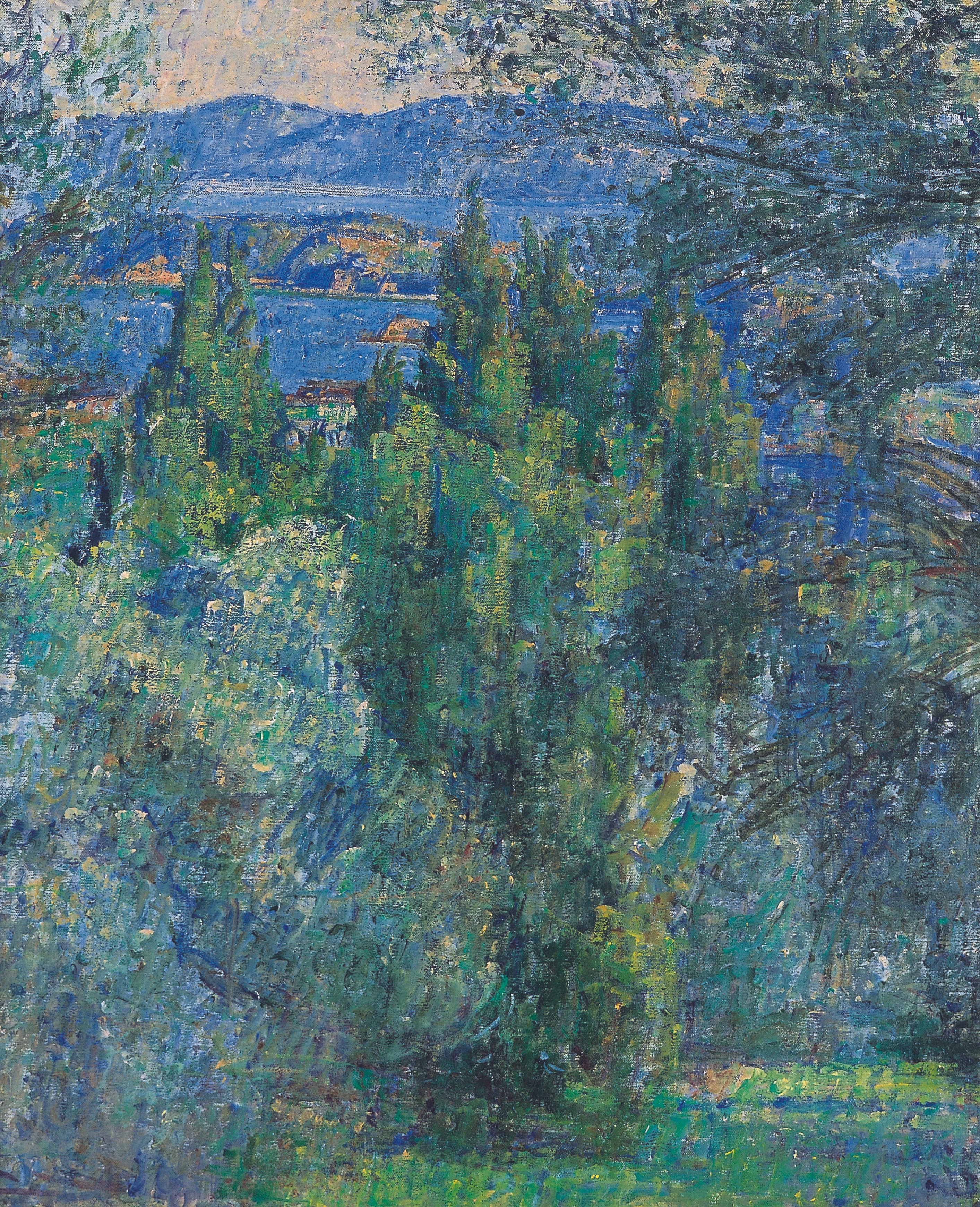 Gently holding olives and the olive branch in hand