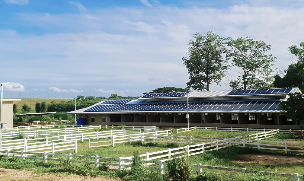 solar panel on roof