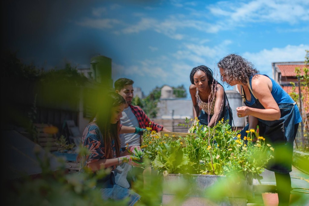 photo of community garden for adaptive reuse placemaking project at a church