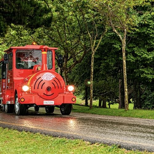 A small red train with “Tourist Train” on the front drives on a wet path through a park with lush green trees.