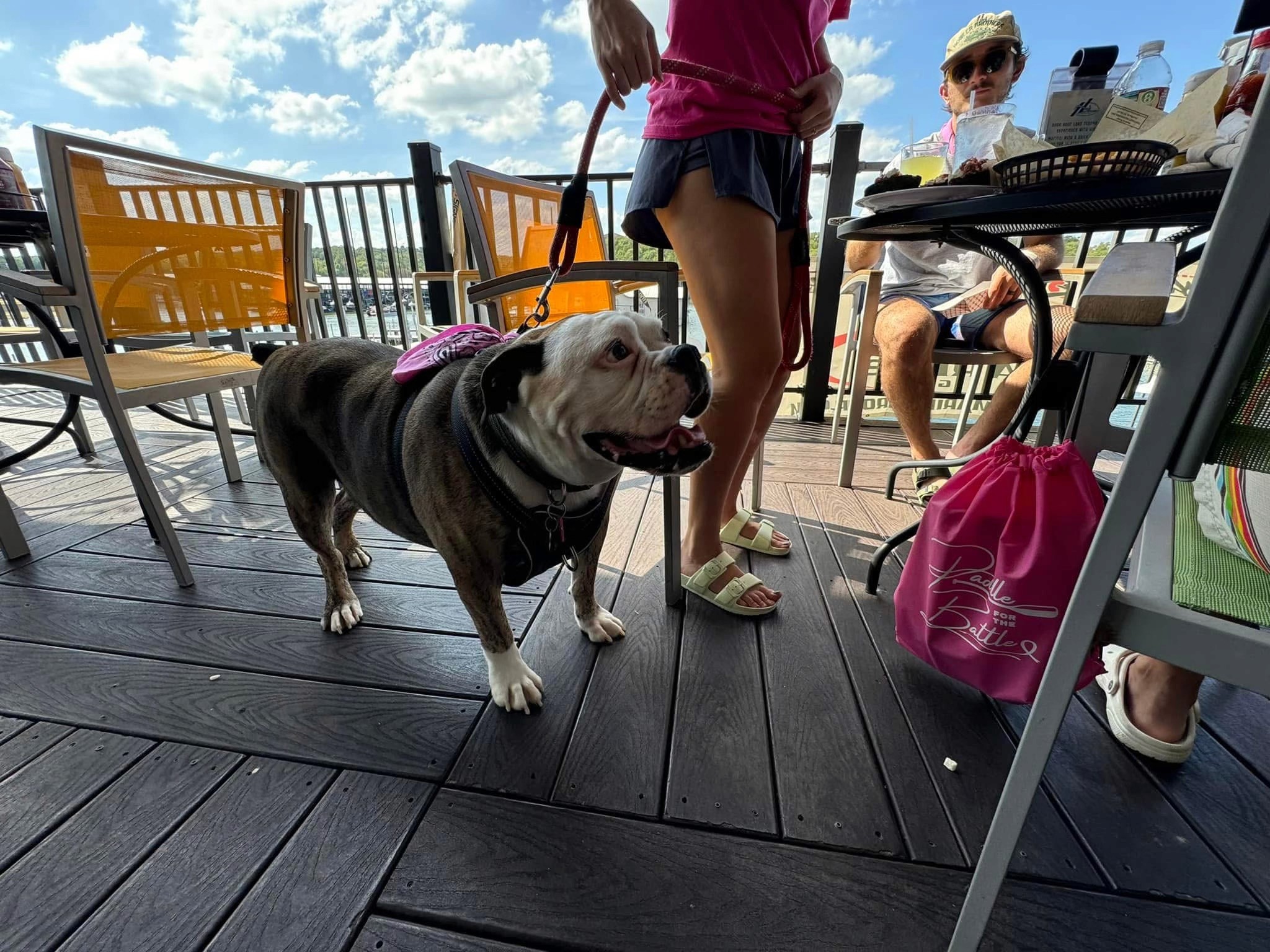 A joyful bulldog on a leash stands beside its owner on a sunlit outdoor deck, surrounded by people enjoying a meal, with clear blue skies above.