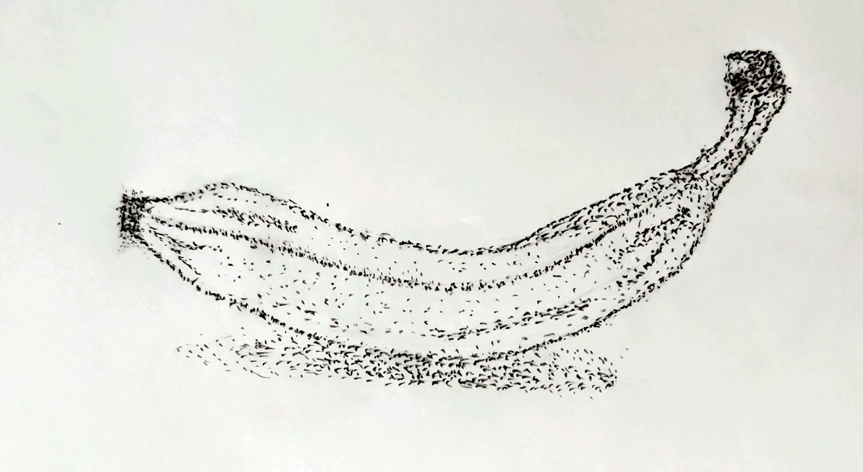 dot drawing