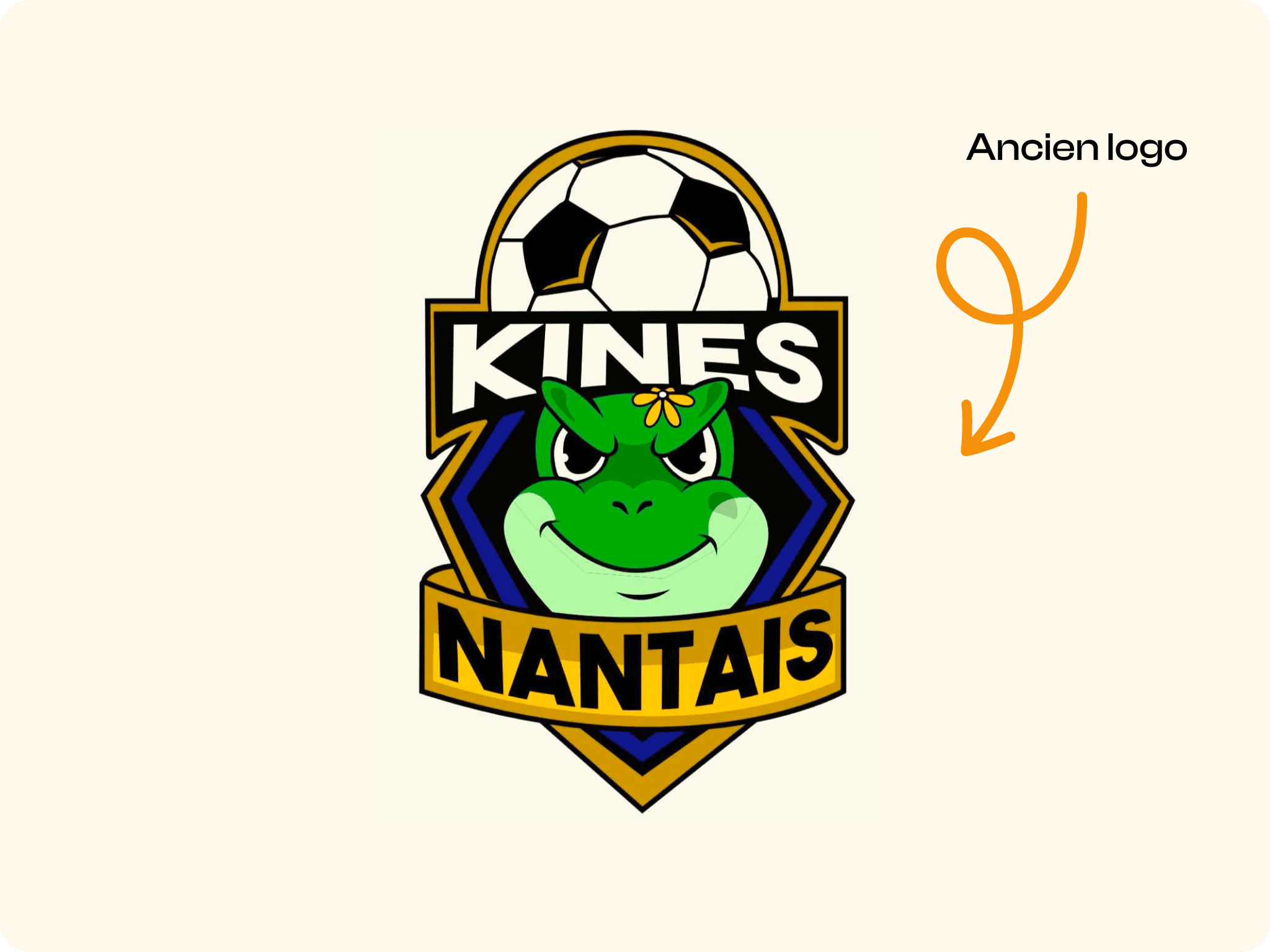 Old logo BDS de l'IFM3R