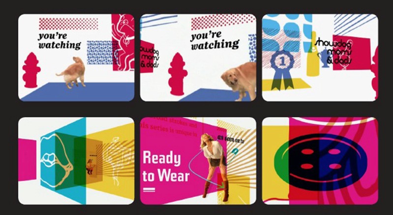 A set of cards showing colorful drawings interlaced with photos of dogs, hydrants, a ribbon, a woman, a button or a lip.