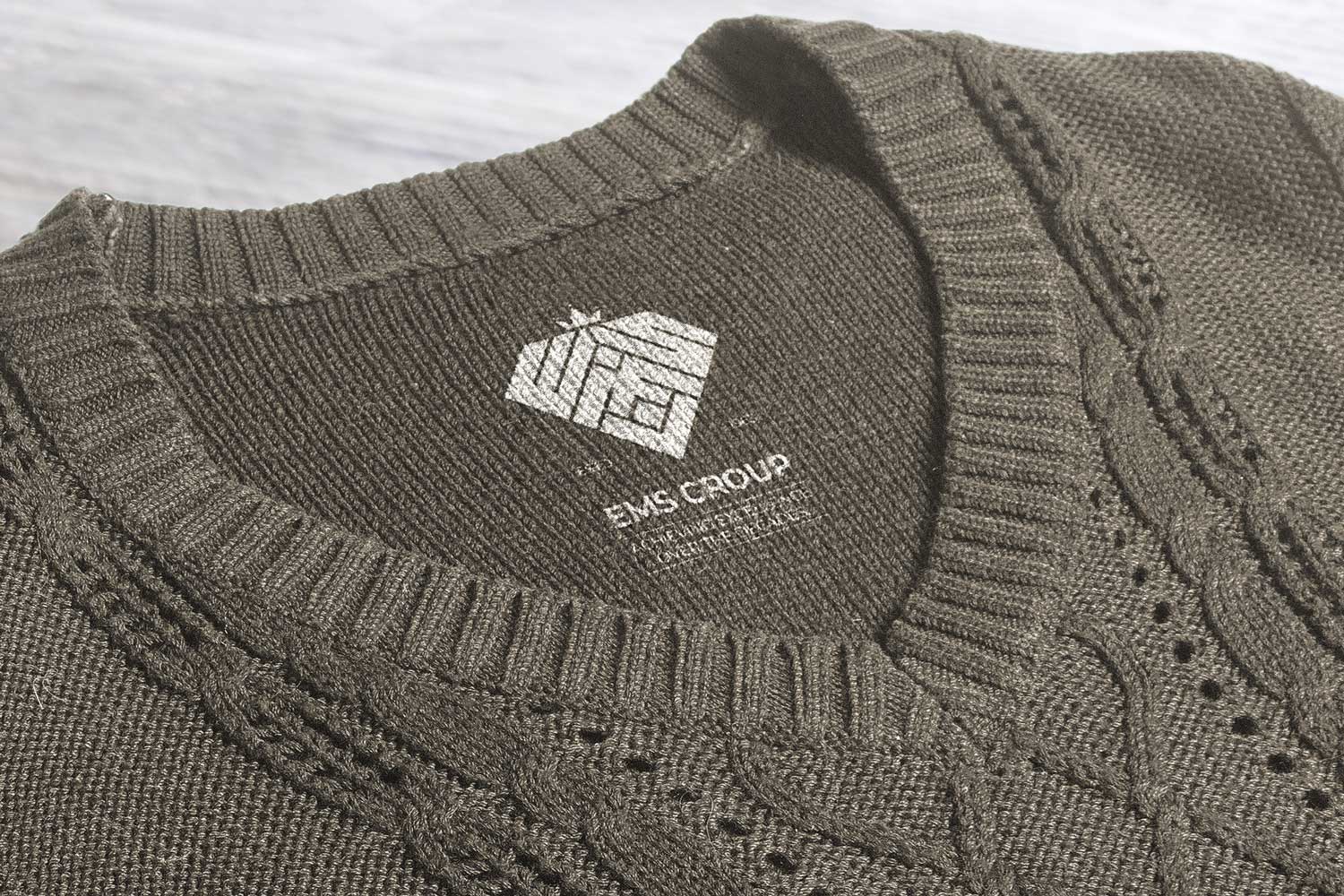 EMS Group logo on branded apparel — Penguincil Design