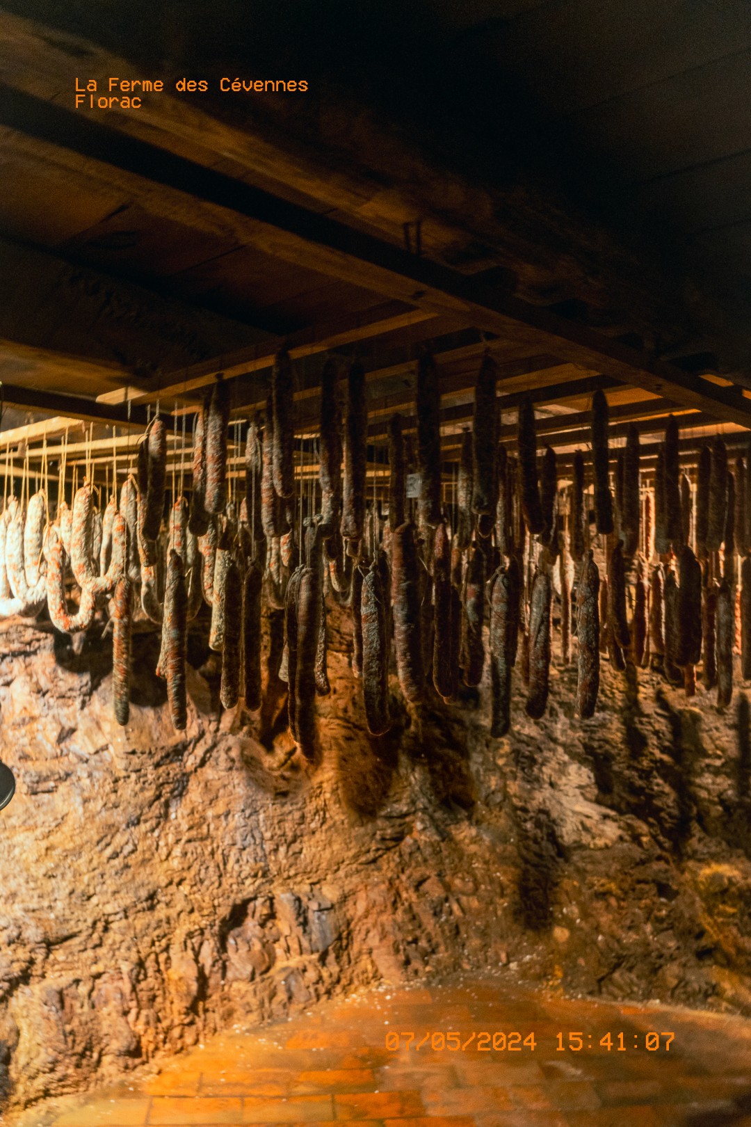 Rangée de saucissons secs suspendus dans une cave.  