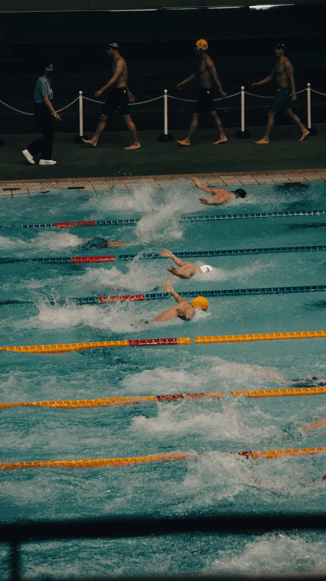 Website der Schwimmschule Marlin