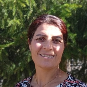 Halimeh Mohammadamin Zadeh