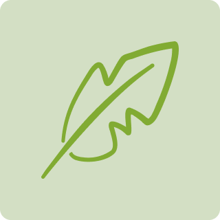A simple green line drawing of a leaf with jagged edges on a light green background, symbolizing nature and eco-friendliness.