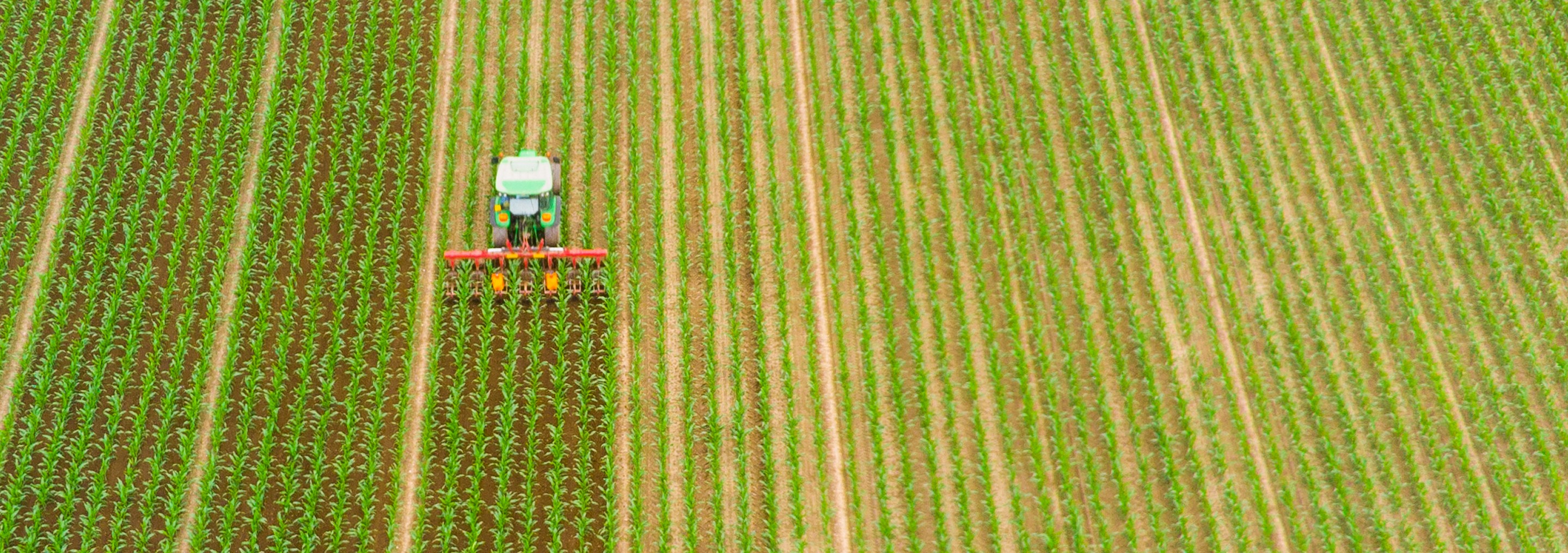 Top-down aerial view of a green tractor driving through neatly planted crop rows in a vast agricultural field.