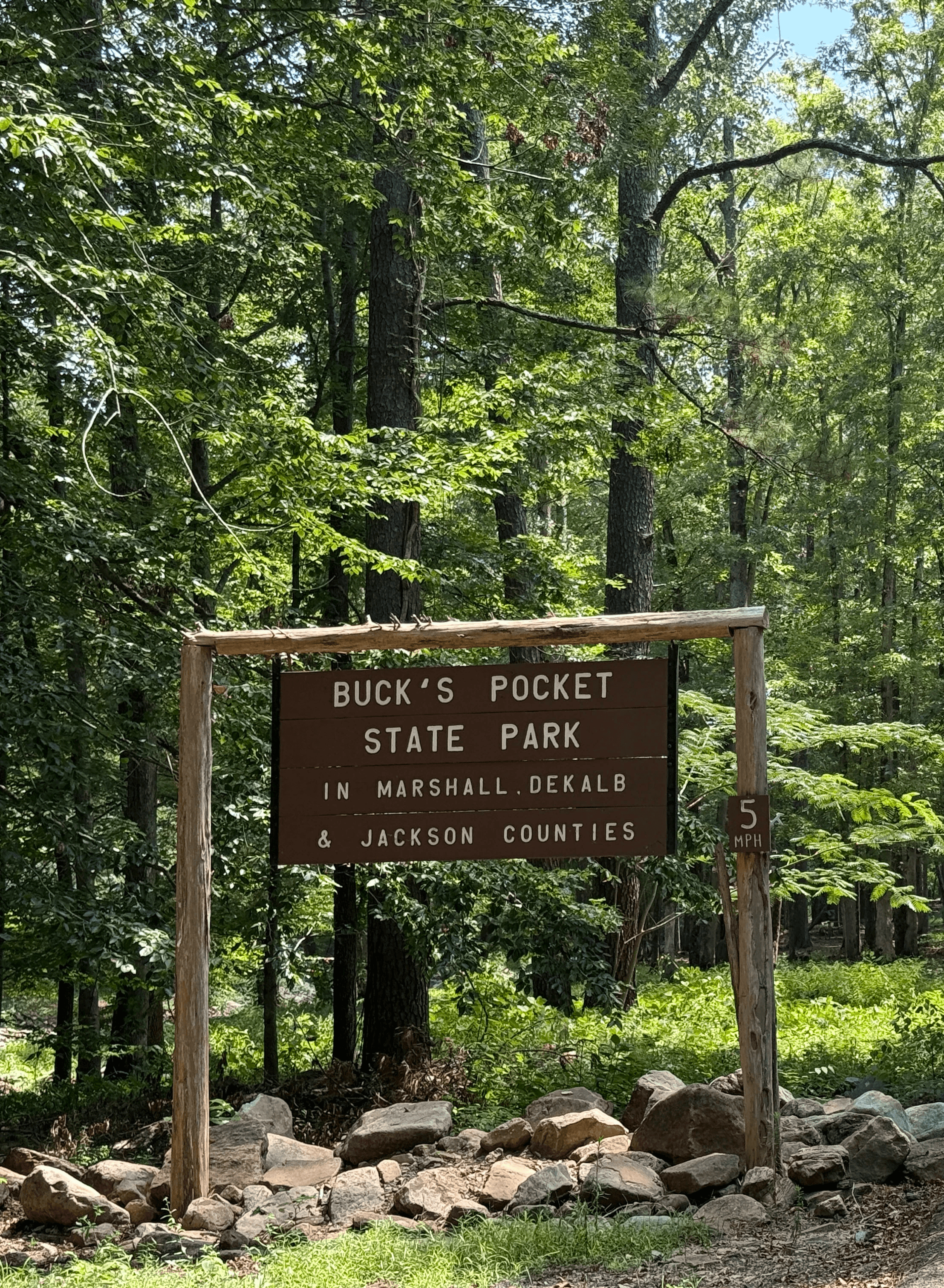 a beach bonfire in the evening