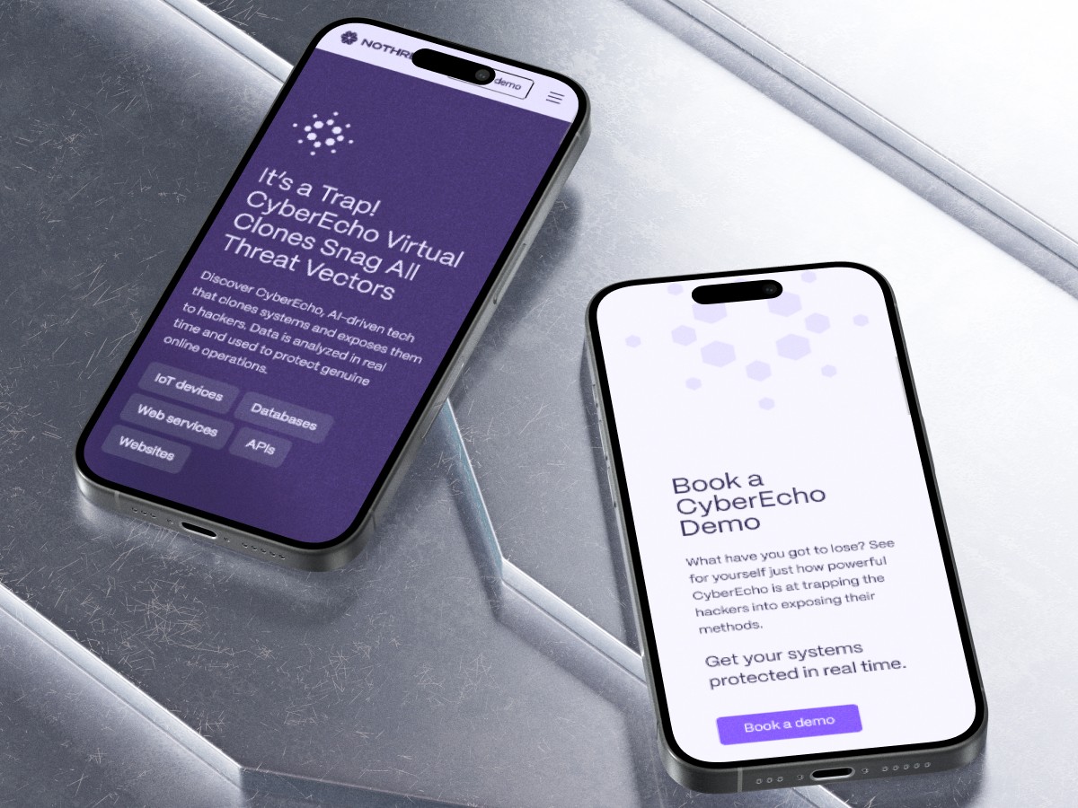 An example of the NoThreat.io website interfaces developed by Codeska