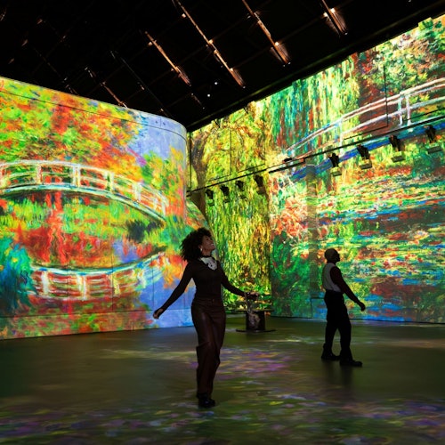 Two people walking inside an immersive art exhibit featuring vibrant, large-scale projections of a garden scene.