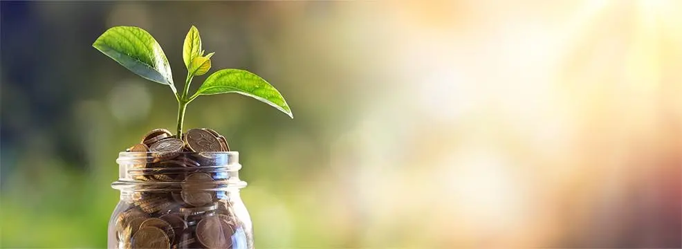 En planta som växer från mynt i ett glas, representerar ekonomisk tillväxt och investering.