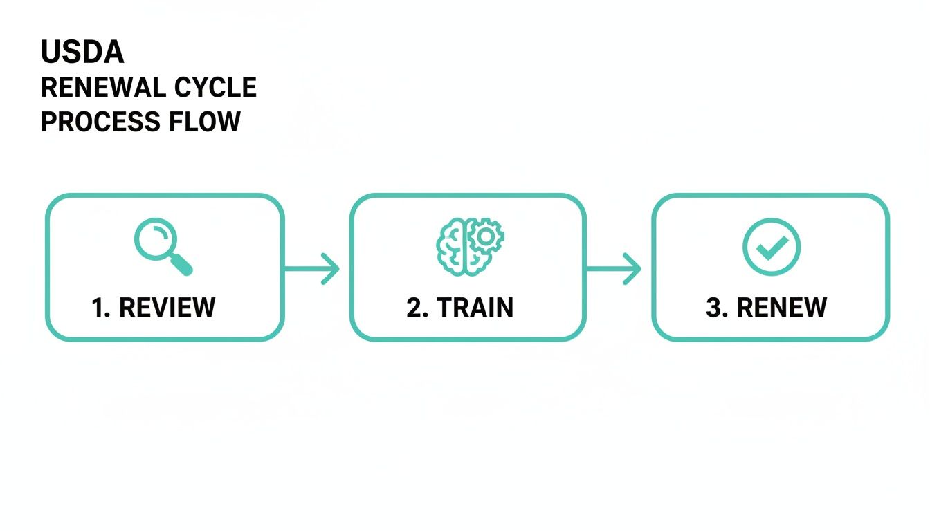 Diagram showing the USDA Renewal Cycle Process Flow with three steps: Review, Train, and Renew.