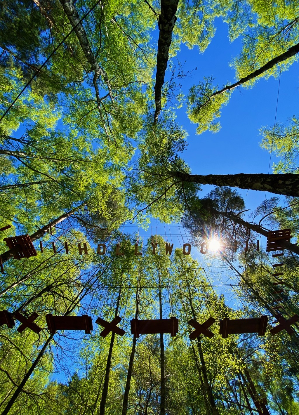 Lush trees frame a view of a serene lake.