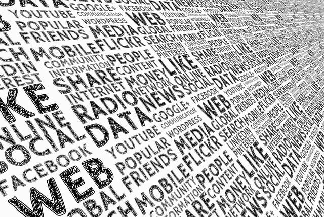 social media, media, board, networking, presentation, internet, facebook, data, tiktok, multimedia, social networking, blog, information, news, text, communication