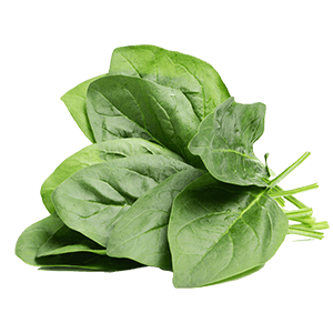 Spinach