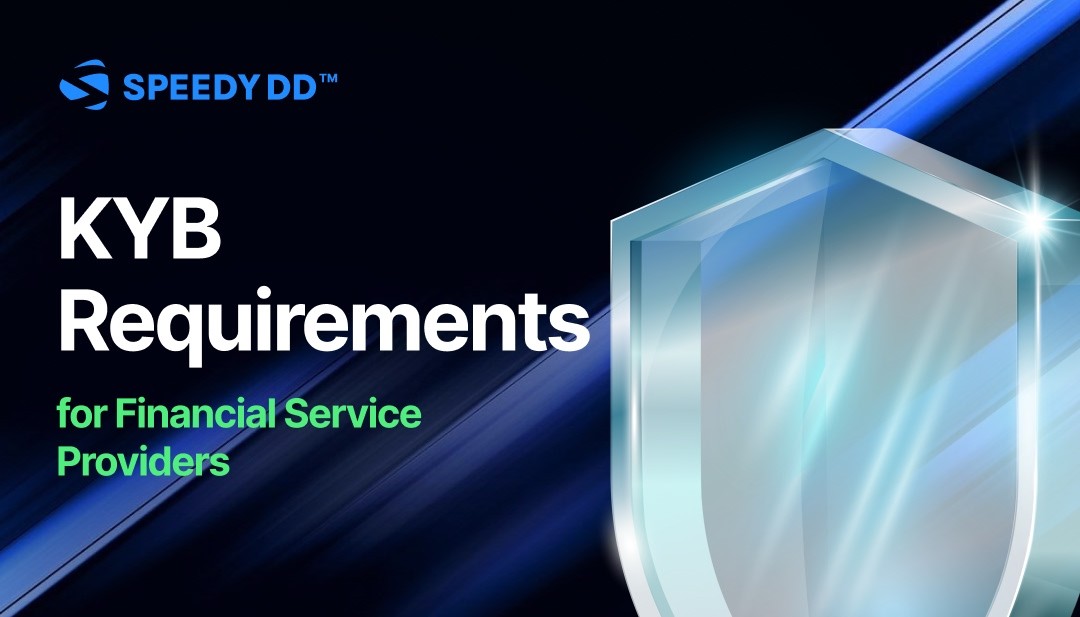 KYB Requirements for Financial Service Providers
