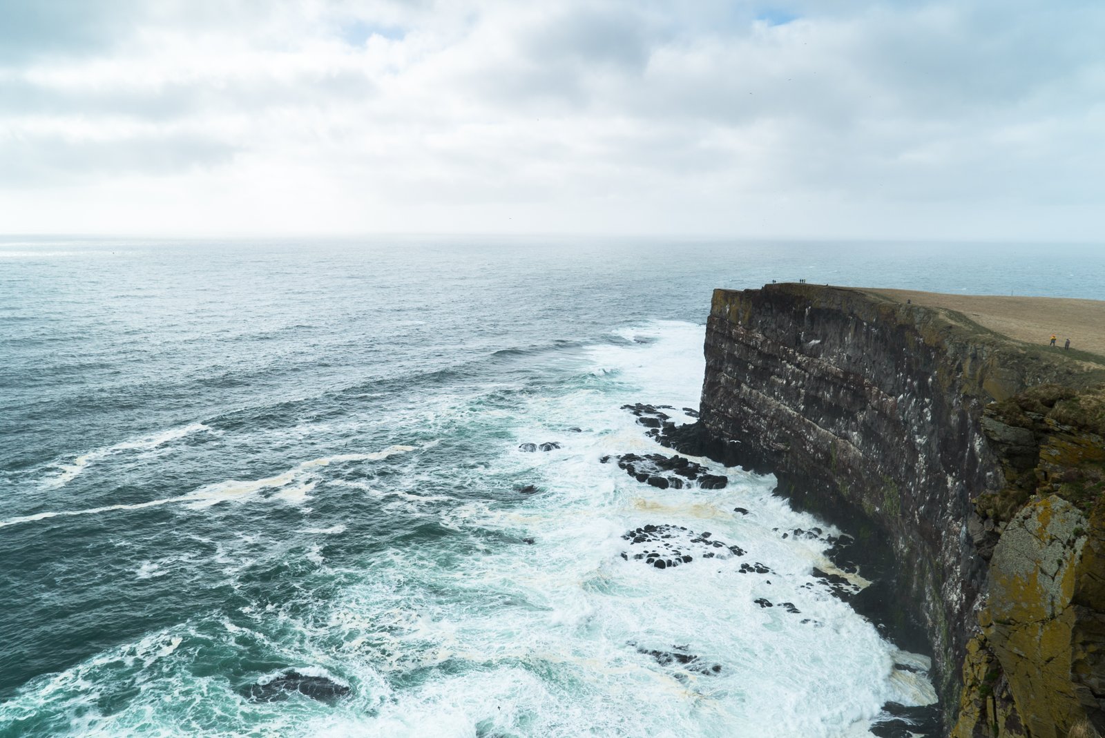 Rocky coastal cliffs with grassy foreground and calm sea beneath an overcast sky.