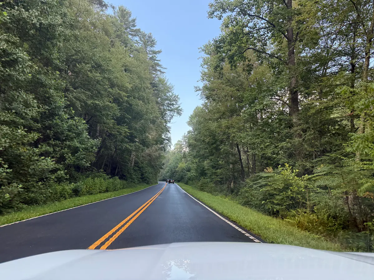 The open road with trees
