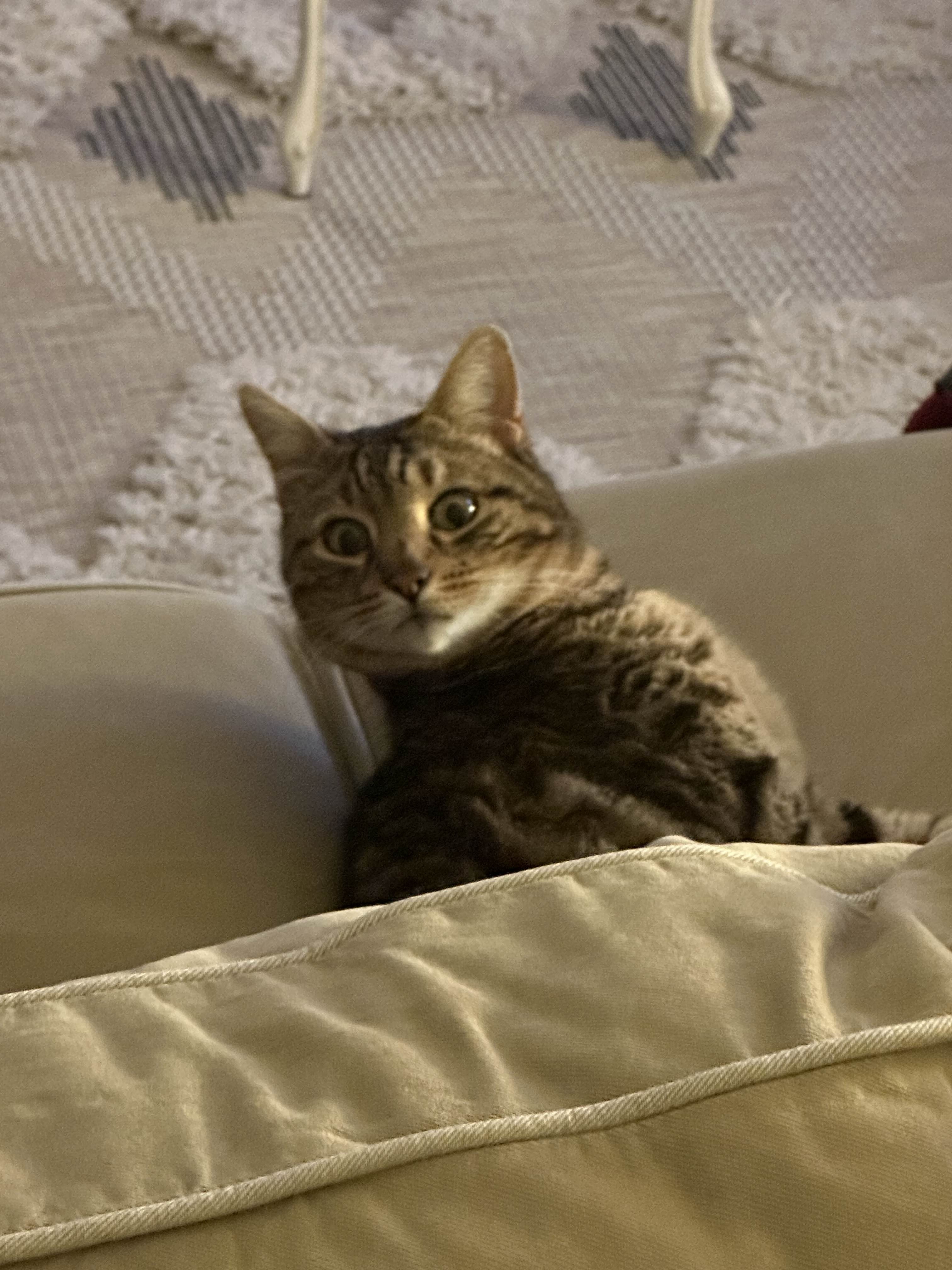 Portrait of portfolio creator – back view