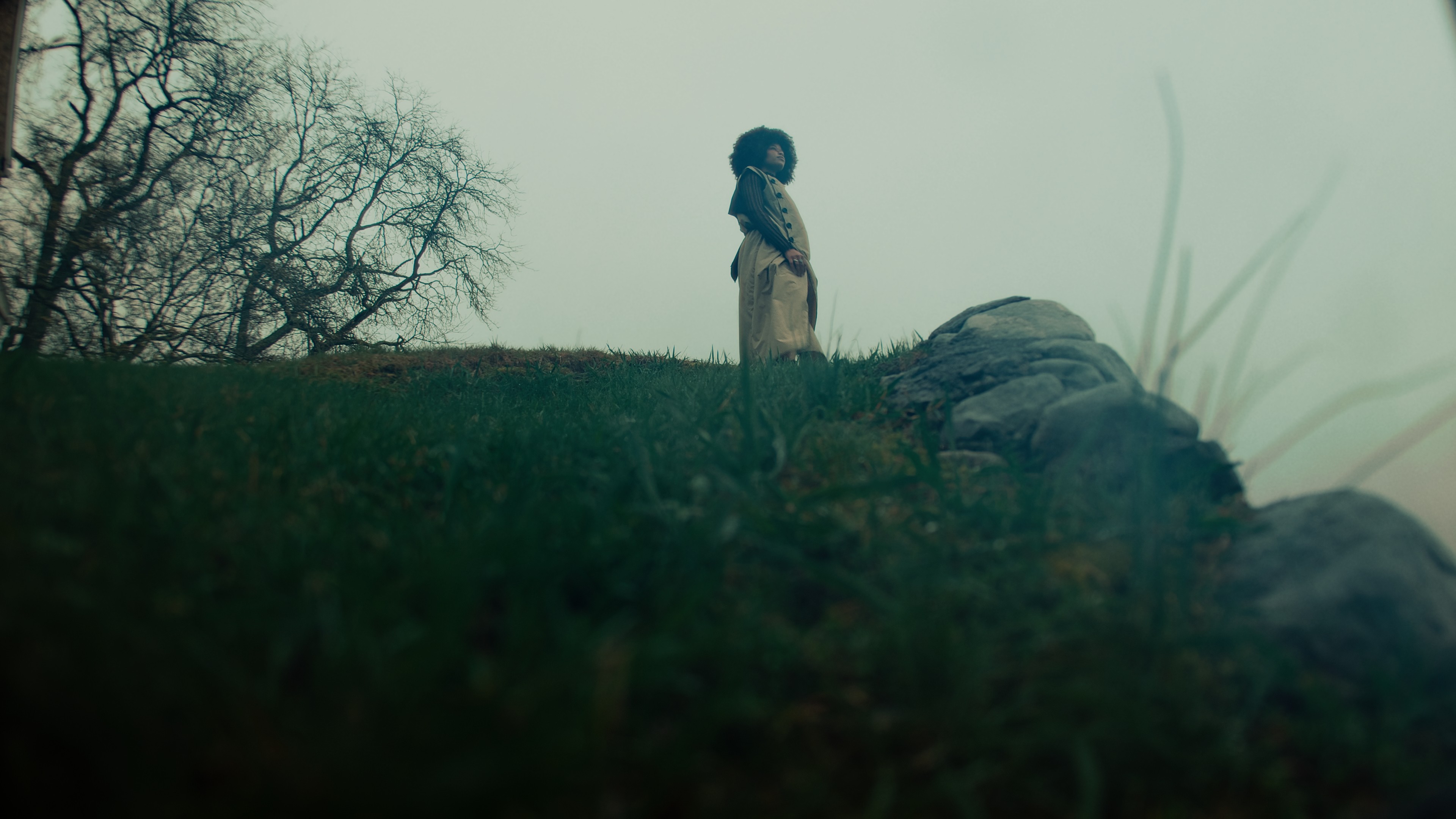 Dom Pérignon vineyards from the sky