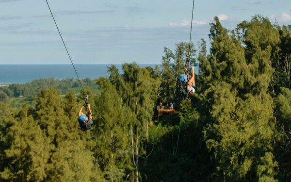 ziplining in oahu over the treetops with ocean view