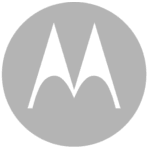 Junior Web Developer